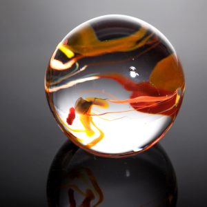 Round Glass Paperweihts Orange by Hayley Gammon