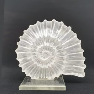 Clear Glass Ornaments by Sharon Korek