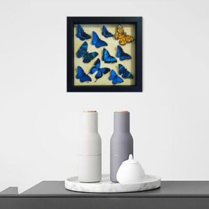 Butterfly Artwork