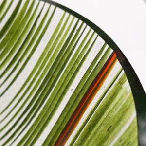 Striped Glass Vessel