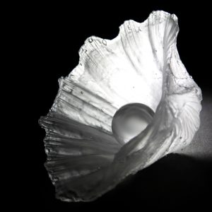 Glass Oyster Shell Elizabeth Sinkova